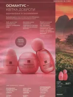 avon catalog 11. 2026 ukraine